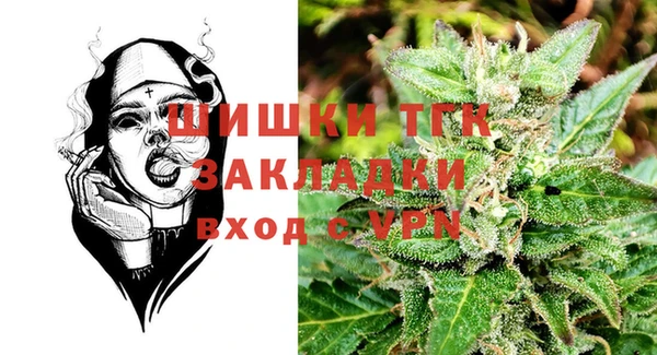 твердый Краснослободск