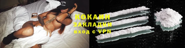 твердый Краснослободск