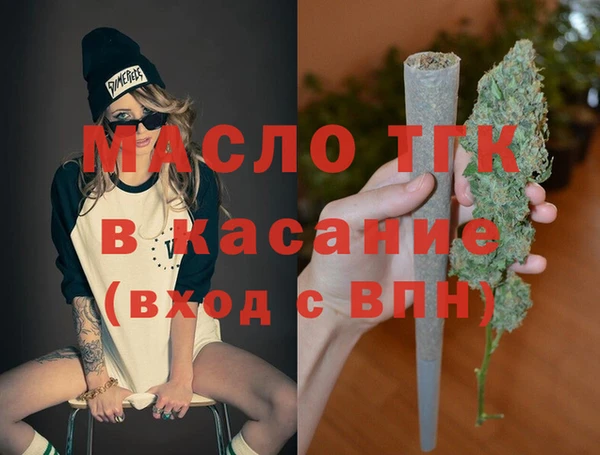 твердый Краснослободск