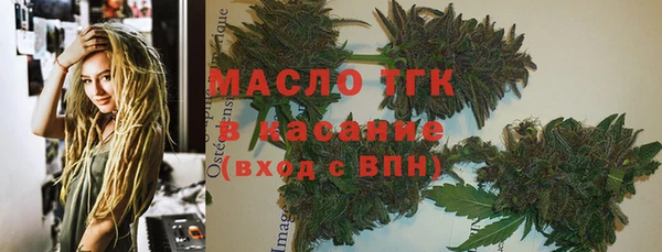 твердый Краснослободск